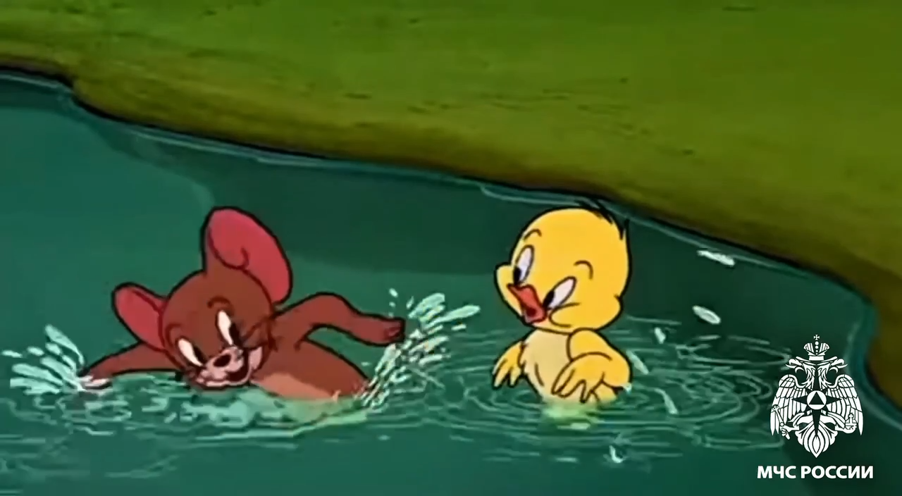кадр видео 3.png